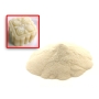 AGAR HISZPAŃSKI DO ŻELOWANIA GALARETEK  25 KG